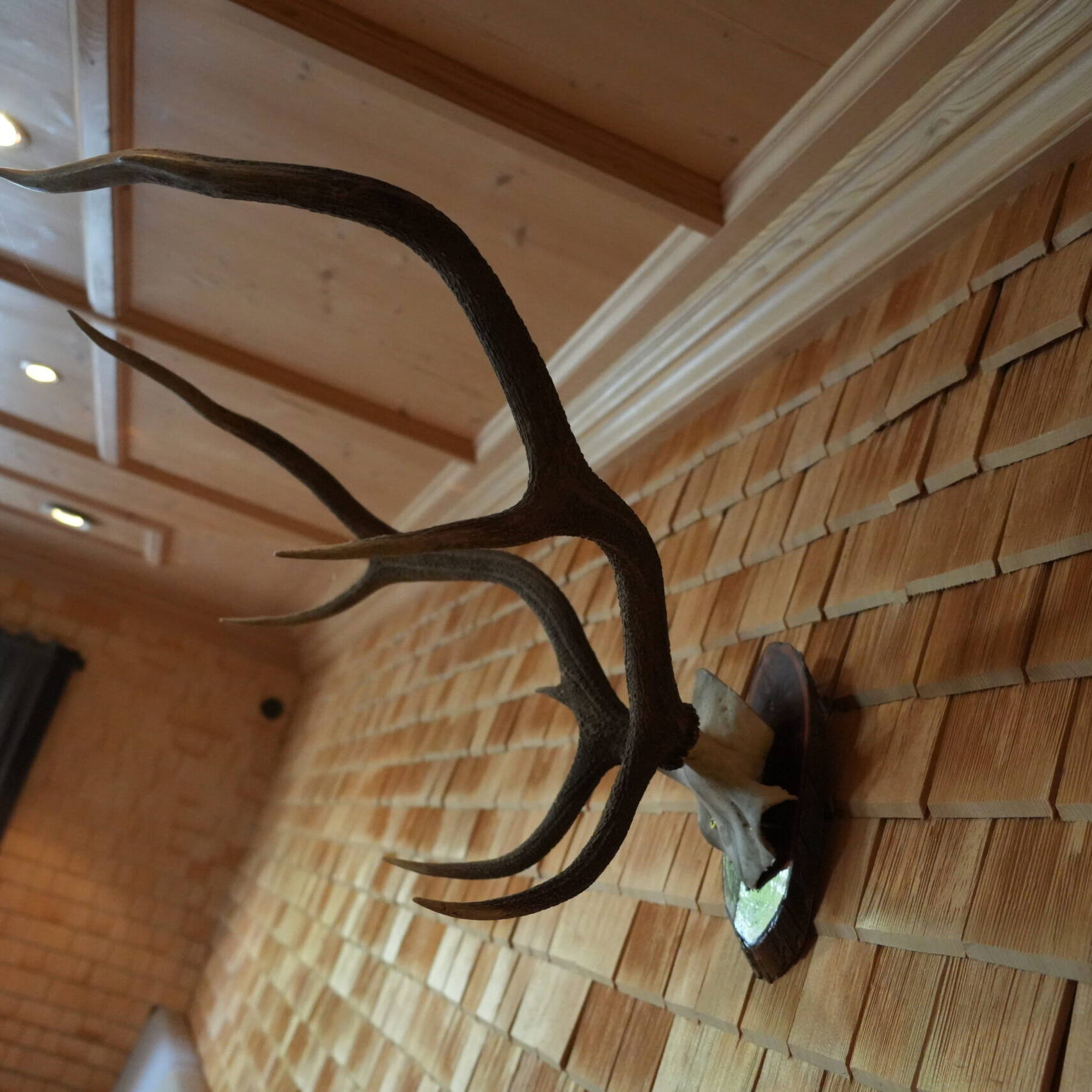 Alpiner Stil im Restaurant Tannenhof im Allgäu